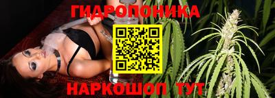 эйфоретик Бузулук