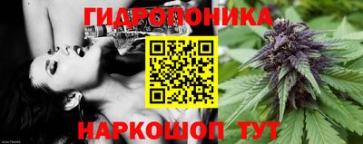 эйфоретик Бузулук